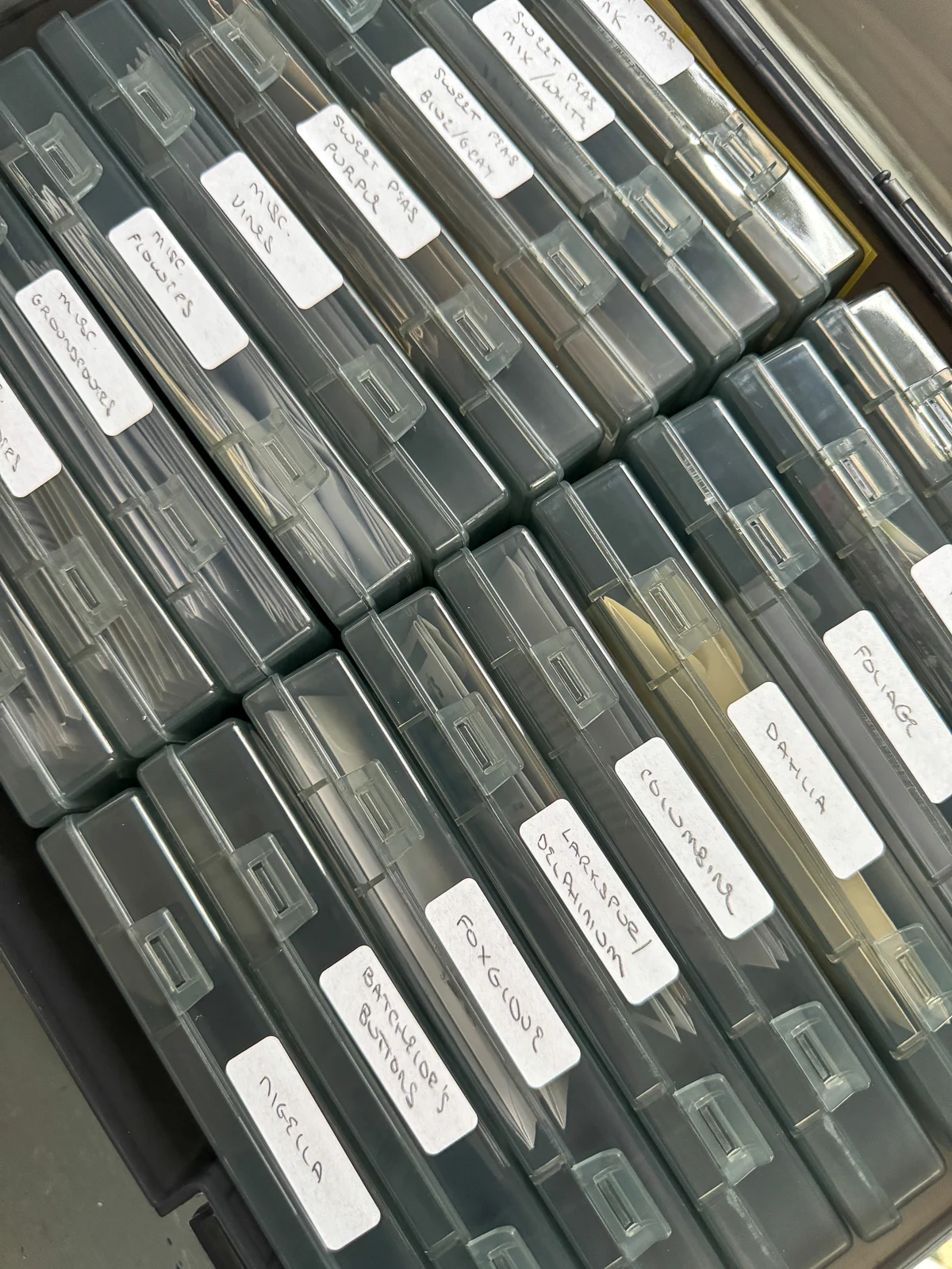 seeds stored in black photo storage case