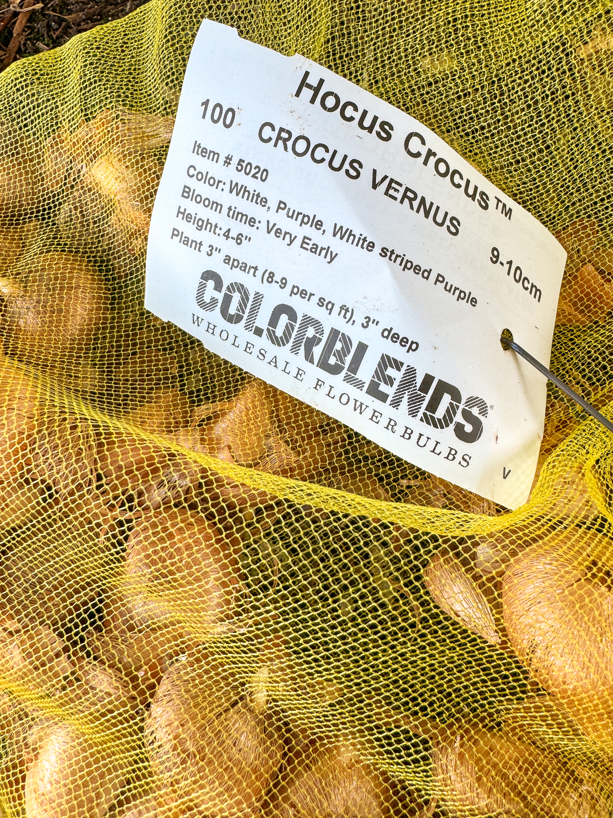 label on bag of 100 crocus bulbs with planting instructions