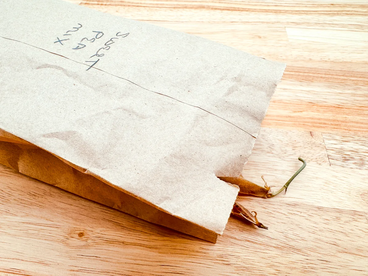 paper bag with sweet pea pods inside