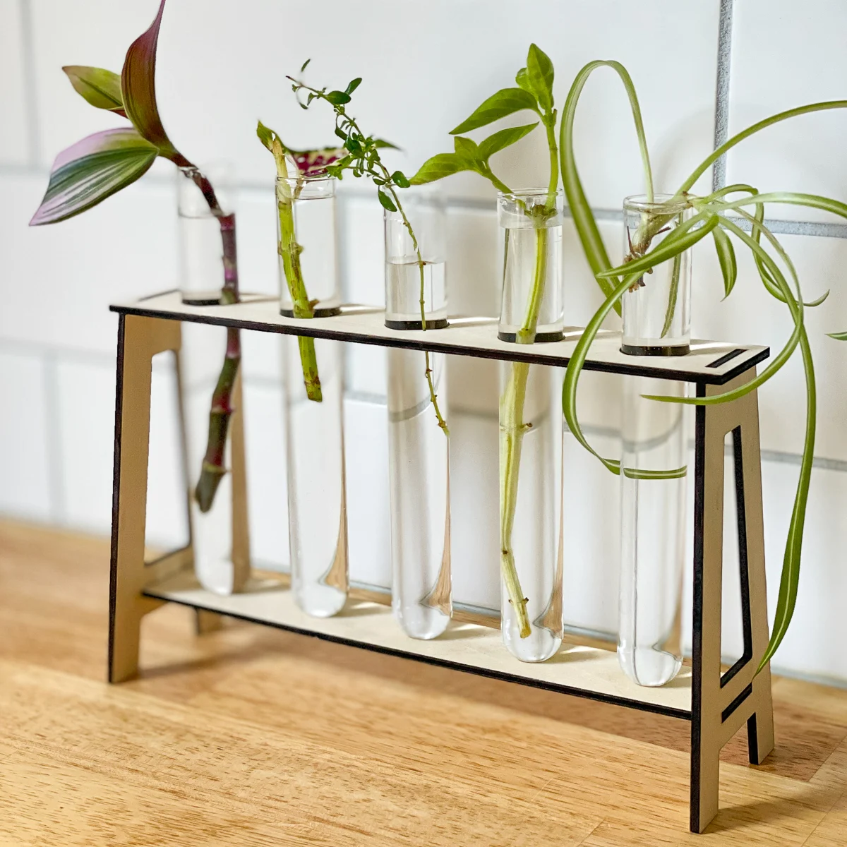 propagation station with test tubes